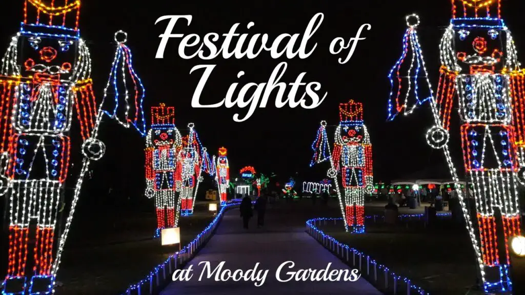 Moody Gardens Holiday Lights