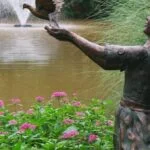 Mynelle Gardens Jackson Ms