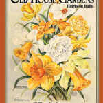Old House Gardens Heirloom Bulbs