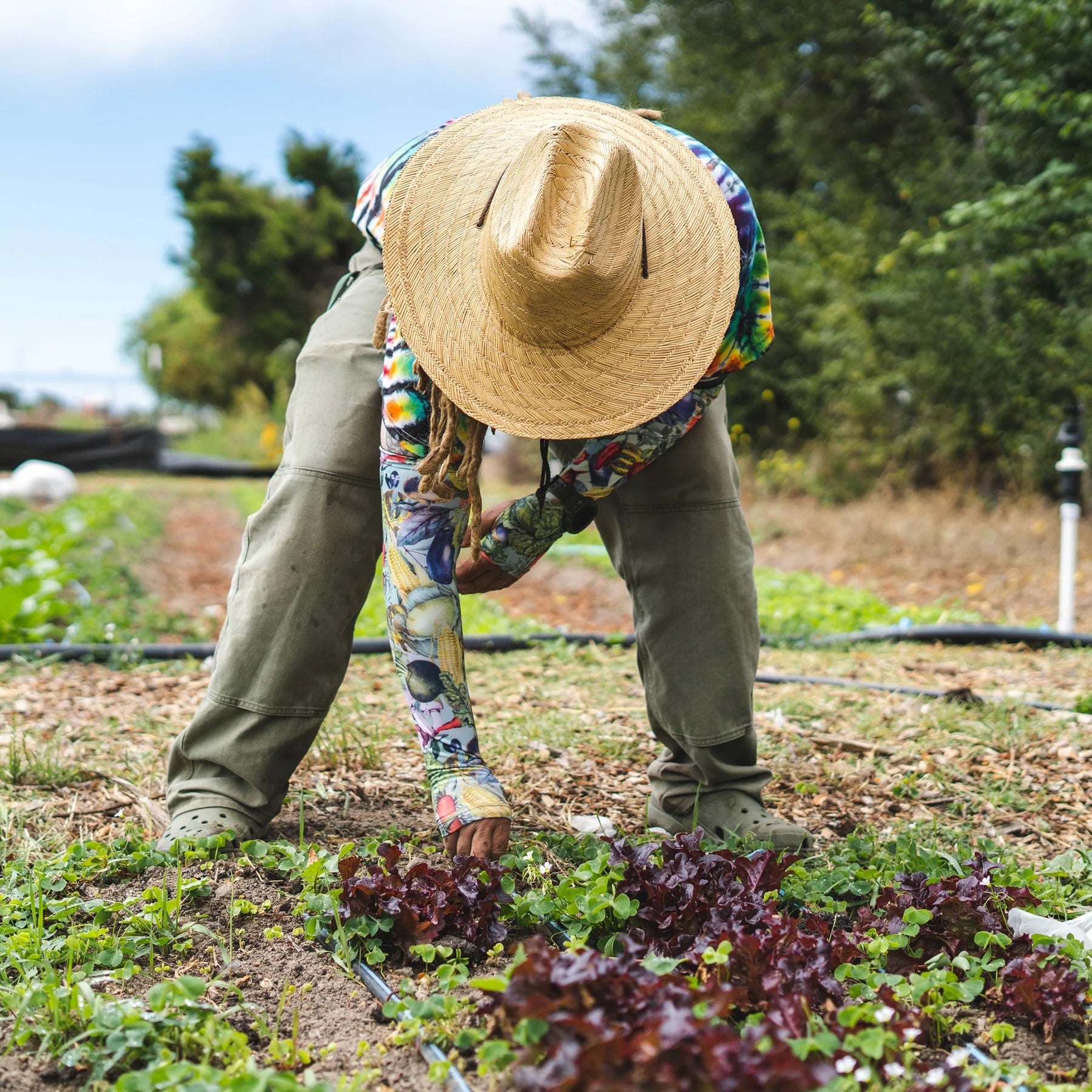 Protective Sleeves for Gardening