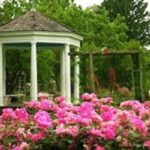 Rose Gardens Allentown Pa