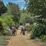 Santa Ana Botanical Gardens