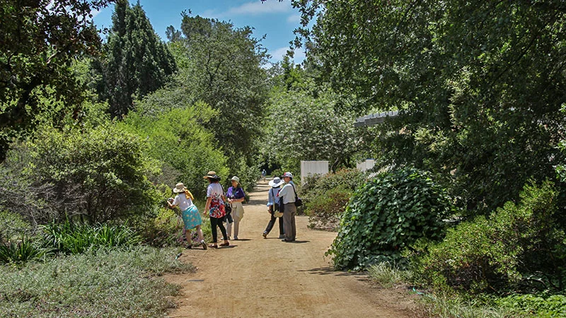 Santa Ana Botanical Gardens