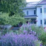 Sea Cliff Gardens B&B
