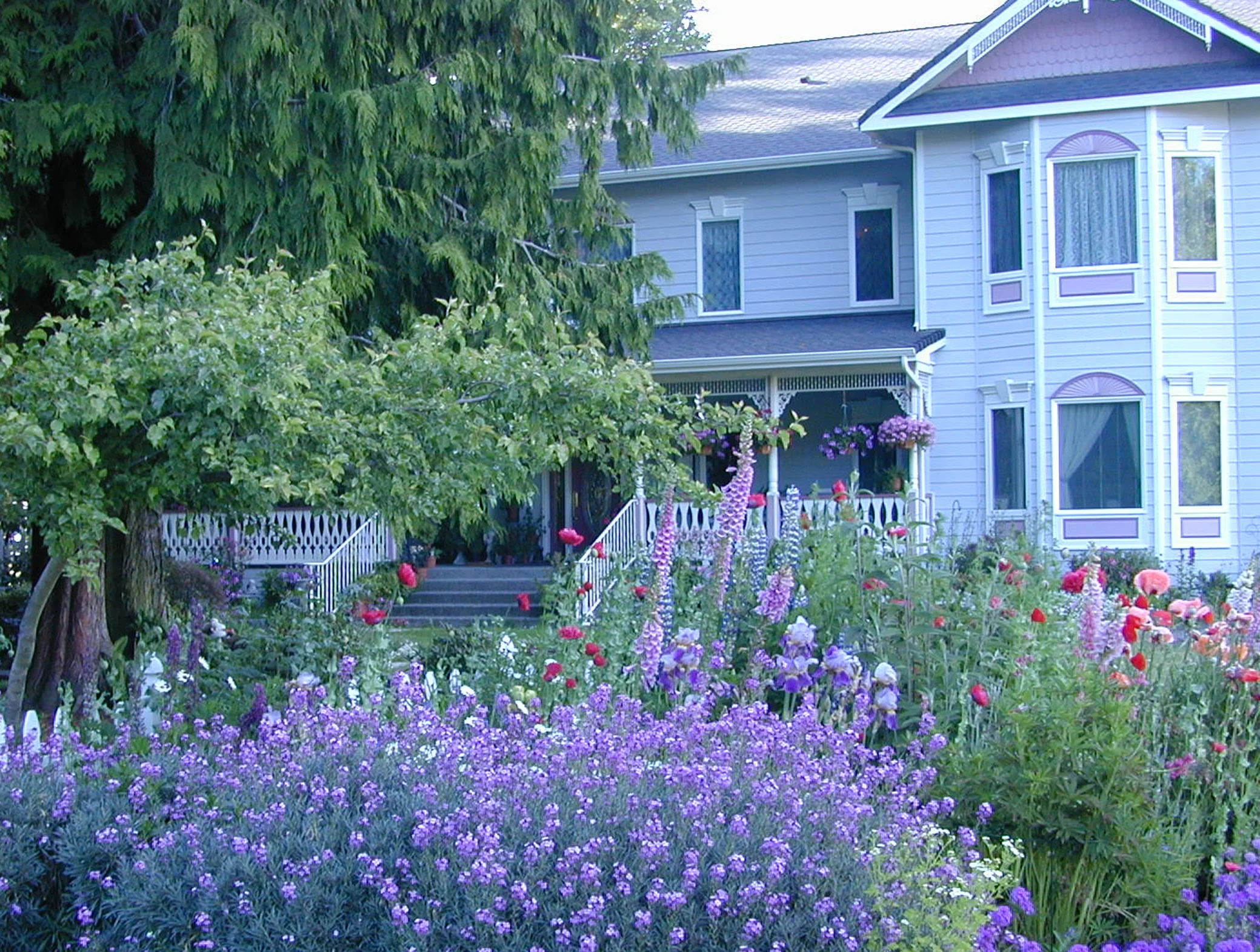 Sea Cliff Gardens B&B