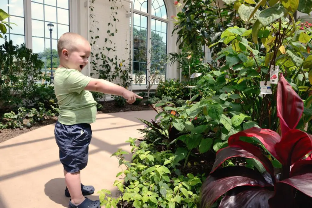 The Butterfly Atrium at Hershey Gardens
