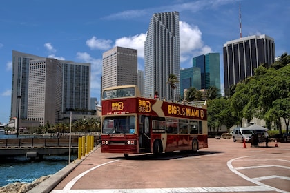 Things to Do in Miami Gardens Florida
