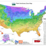 What Gardening Zone is St Louis Missouri