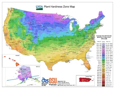 What Gardening Zone is St Louis Missouri