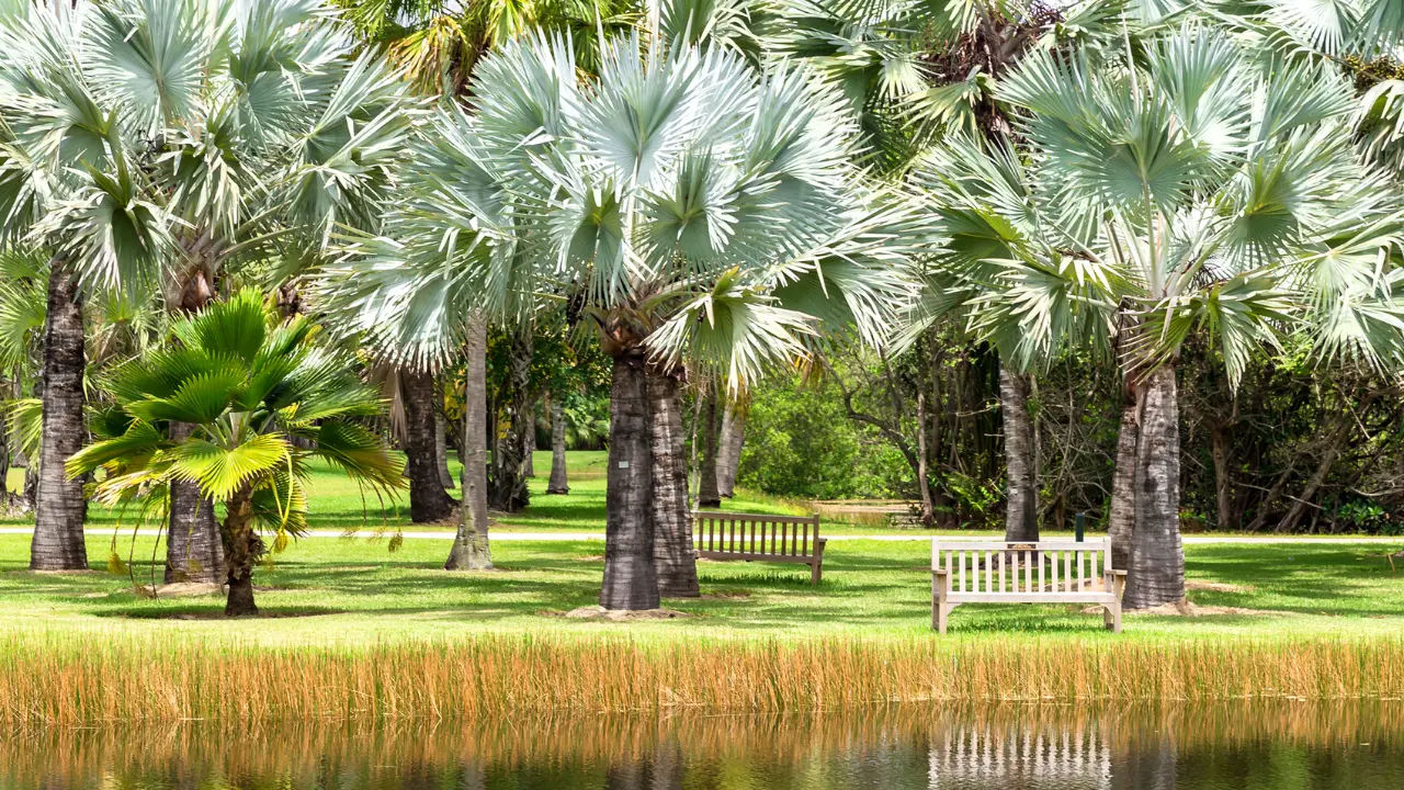 5 Best Botanical Gardens in Florida