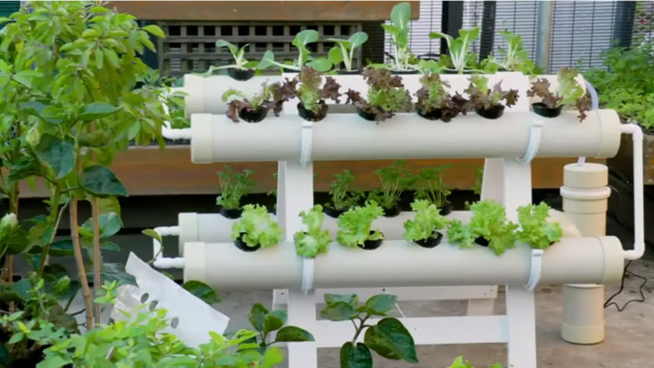 Best Hydroponic Indoor Garden for Growing Fresh Herbs and Vegetables