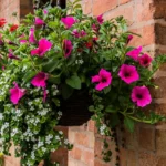Best Florida Hanging Basket Plants: Stunning & Easy