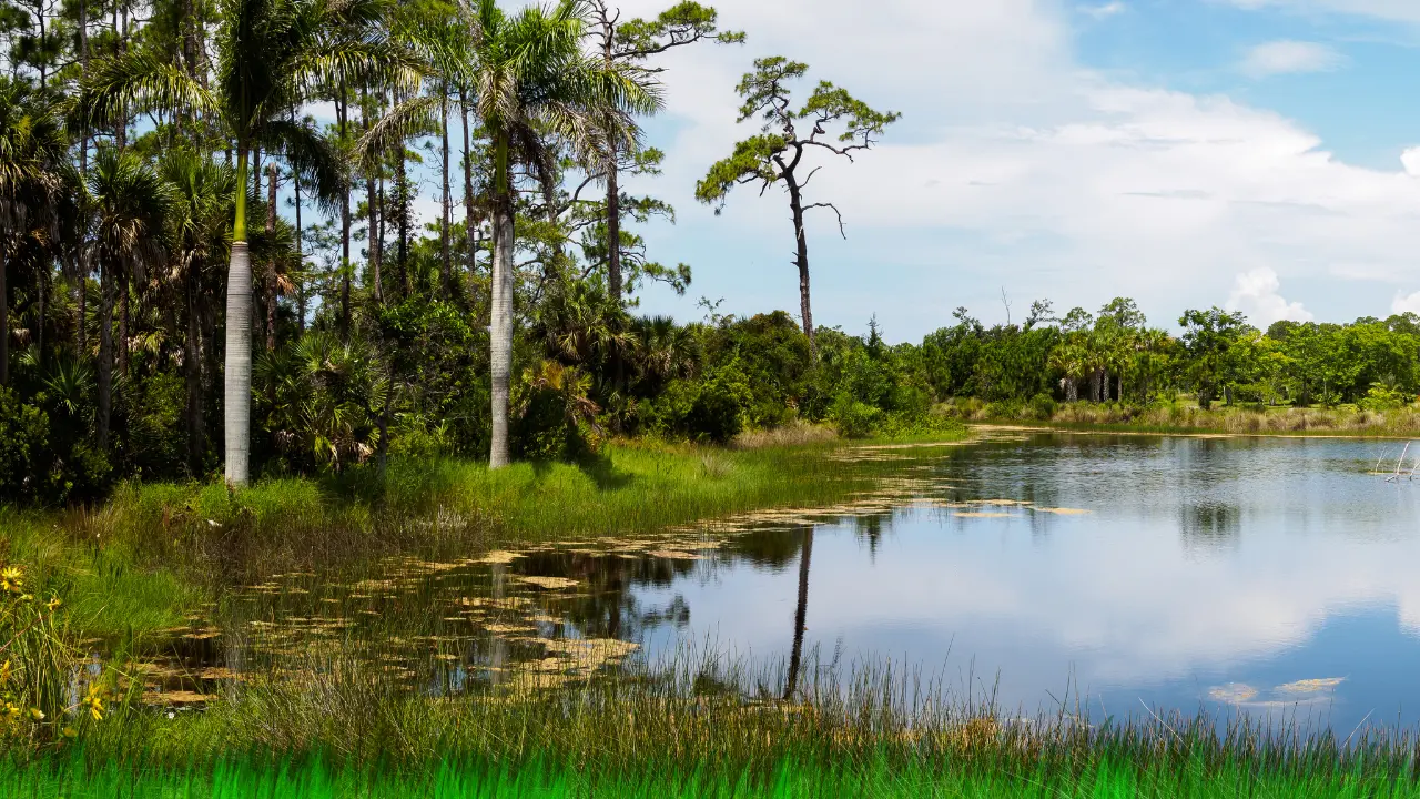 5 Best Botanical Gardens in Florida