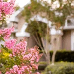 Best Bushes to Plant in Florida: Top Picks for 2025