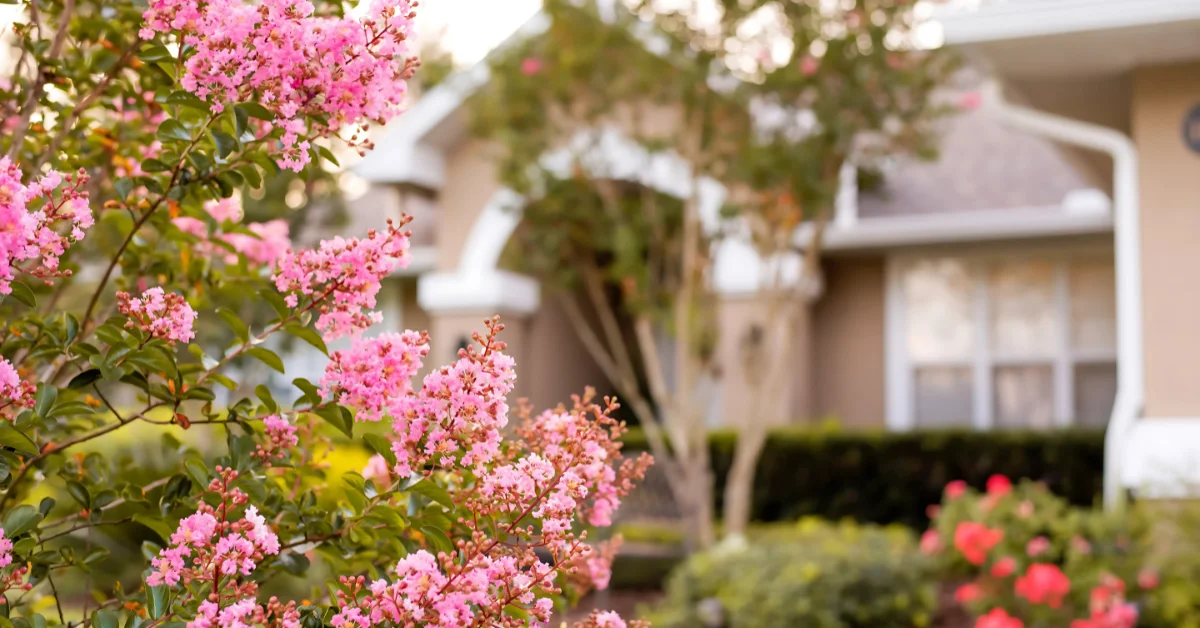 Best Bushes to Plant in Florida: Top Picks for 2025