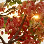 Best Flowering Plants for Full Sun in Florida: A Gardener's Guide to Vibrant, Heat-Tolerant Blooms