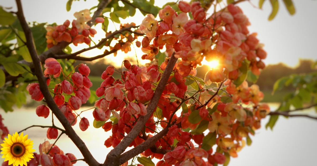 Best Flowering Plants for Full Sun in Florida: A Gardener's Guide to Vibrant, Heat-Tolerant Blooms