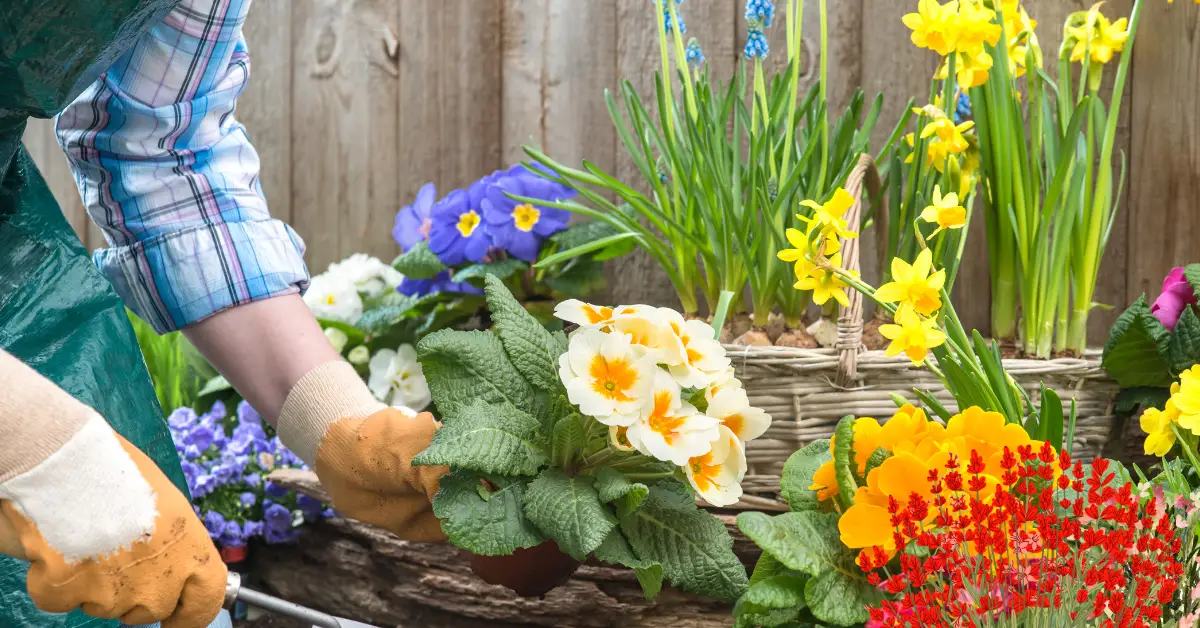 Best Flowering Plants for North Florida: Top Picks for Vibrant Gardens