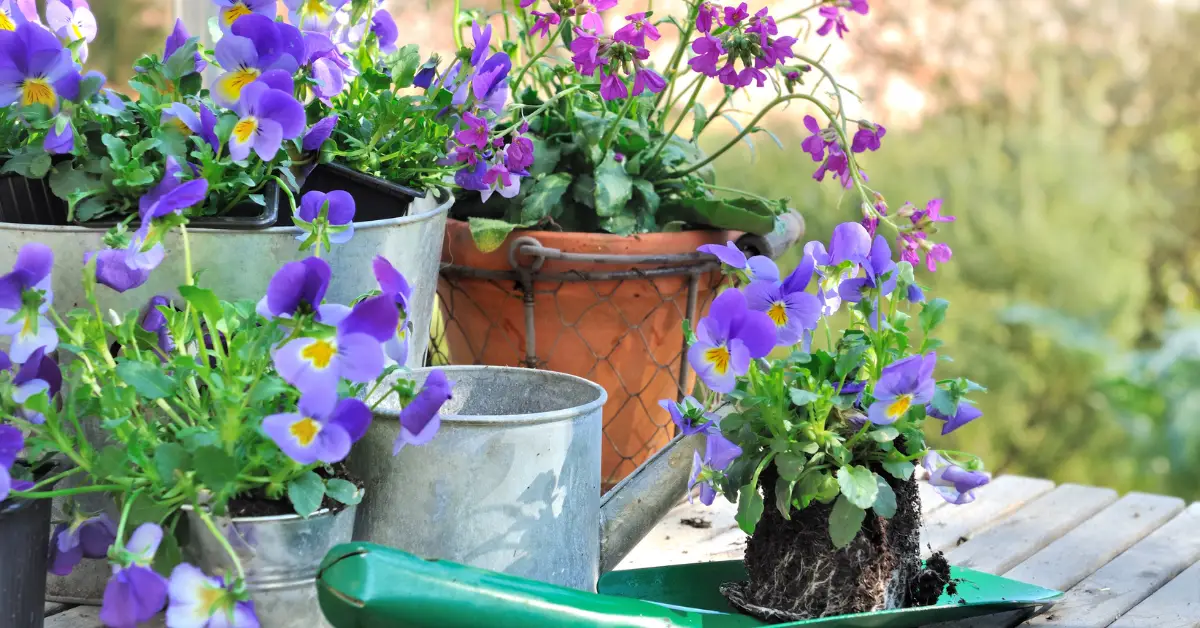 Best Flowers to Plant in North Florida: A Comprehensive Guide