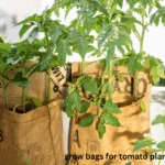 grow bags for tomato plants