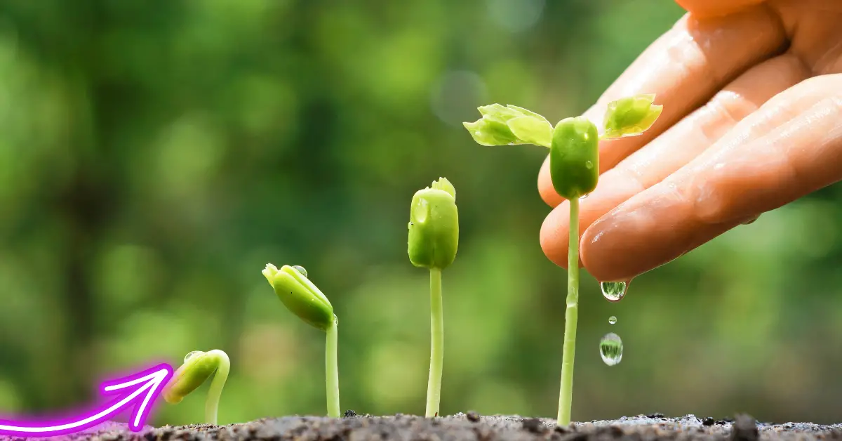 Best Plants to Grow in South Florida: Expert Tips and Recommendations