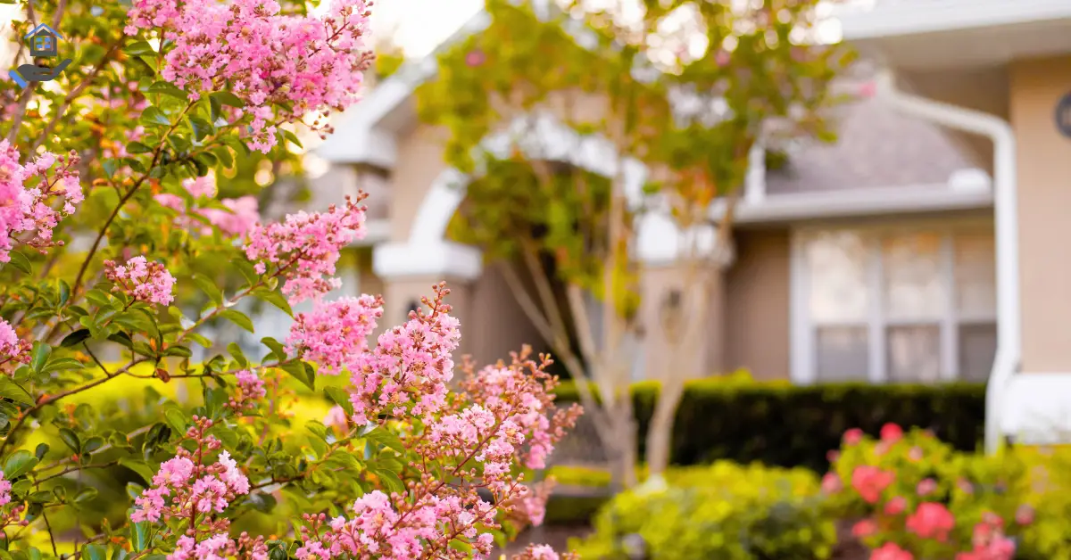 Best Flowering Plants for Florida Full Sun: Top Picks for Vibrant, Heat-Tolerant Gardens
