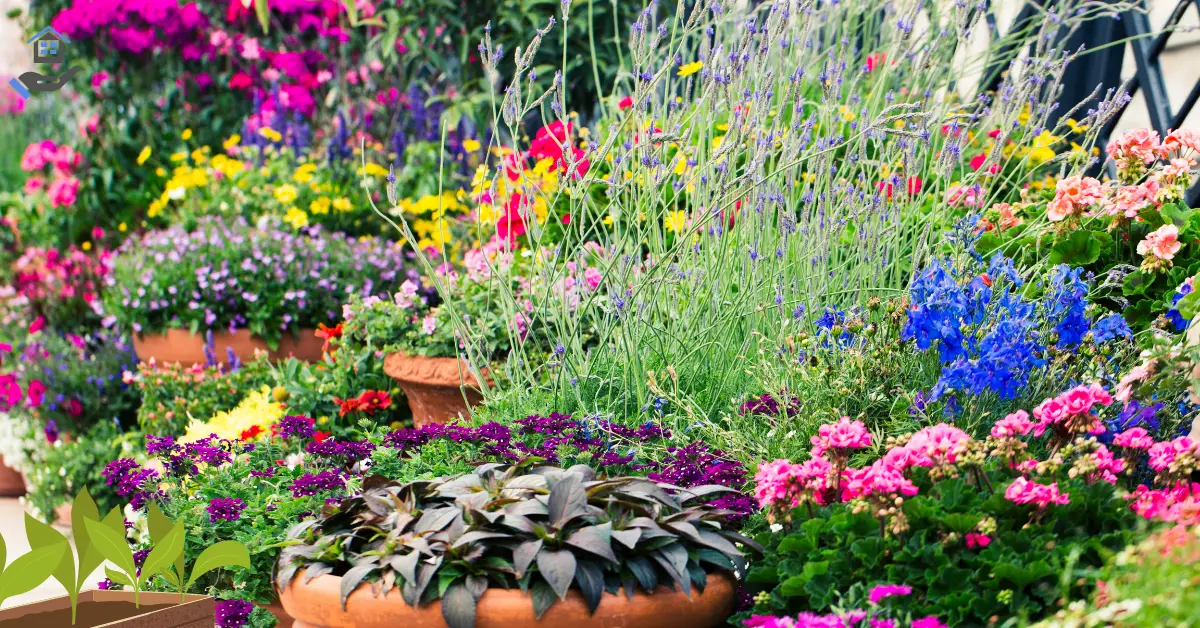 Best Container Plants for Full Sun in Florida: Top Heat-Tolerant Picks