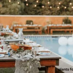 Best Plants for Around a Pool in Florida: Creating a Tropical Oasis