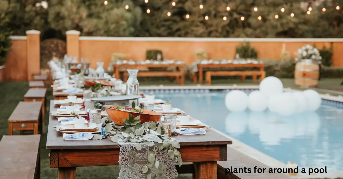 Best Plants for Around a Pool in Florida: Creating a Tropical Oasis