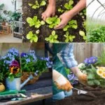 Best Plants to Grow in Florida for Small Planters