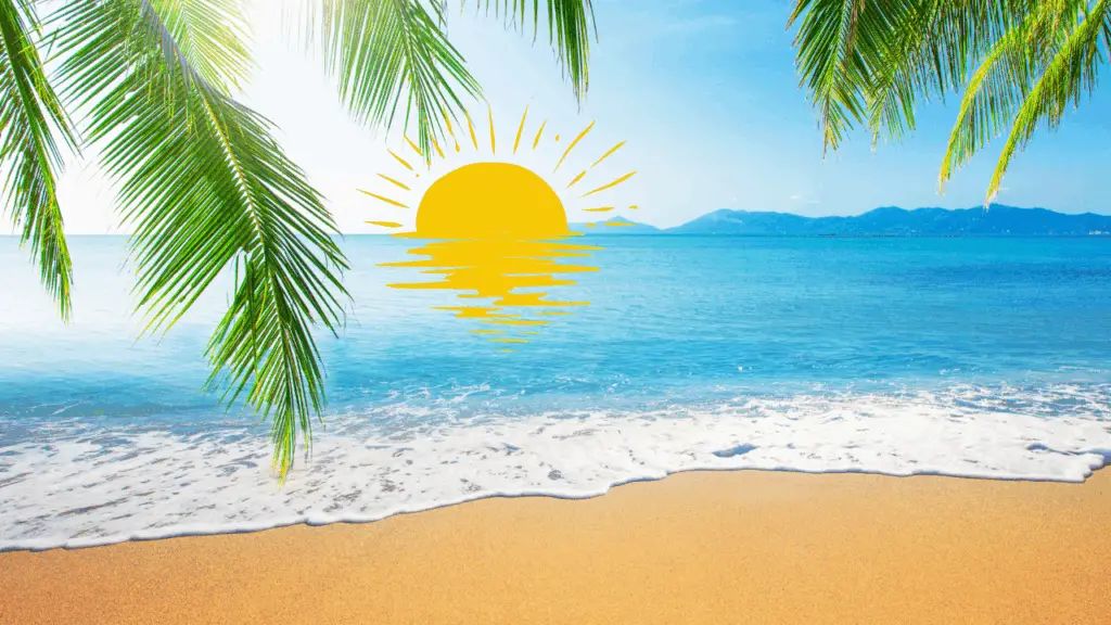 Best Sunset Cruise Experiences Near Palm Beach Gardens 1
