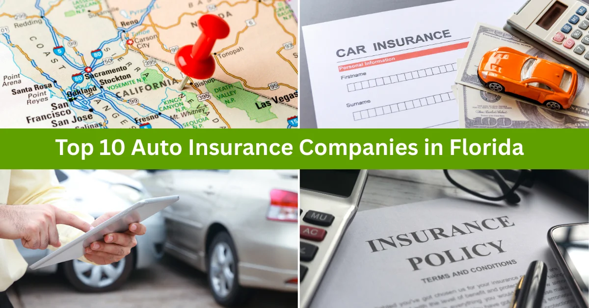 Top 10 Auto Insurance Companies in Florida