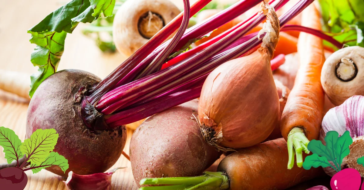 Top 10 Root Vegetables Eat with Carbohydrates for Energy and Nutrition