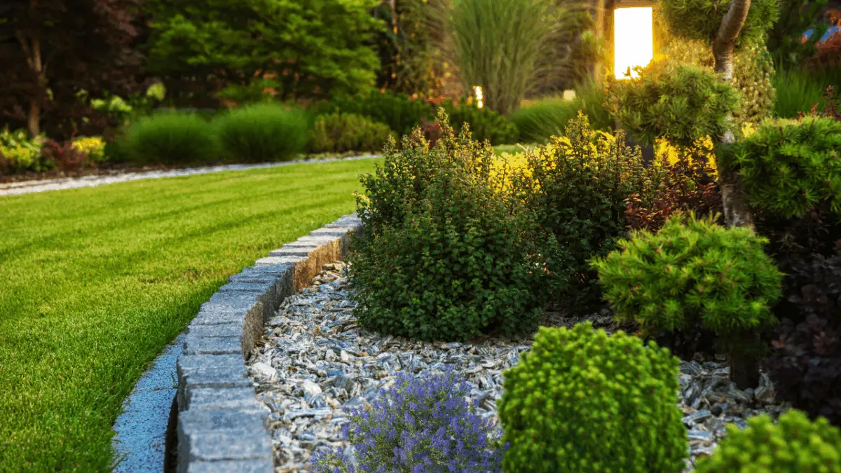 Best Landscape Plants for Central Florida: Top Picks for Vibrant Yards
