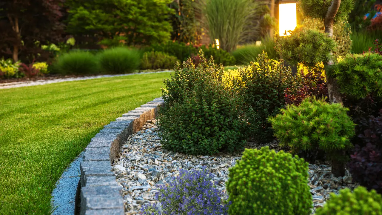 Best Landscape Plants for Central Florida: Top Picks for Vibrant Yards