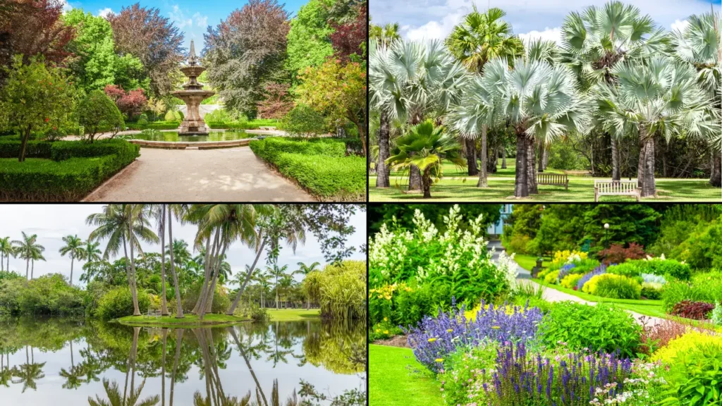 5 Best Botanical Gardens in Florida