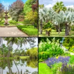5 Best Botanical Gardens in Florida