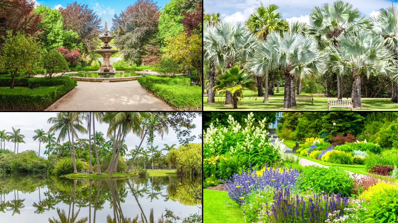 5 Best Botanical Gardens in Florida