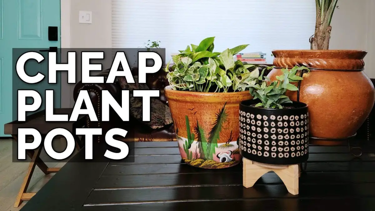 Affordable Plant Pots
