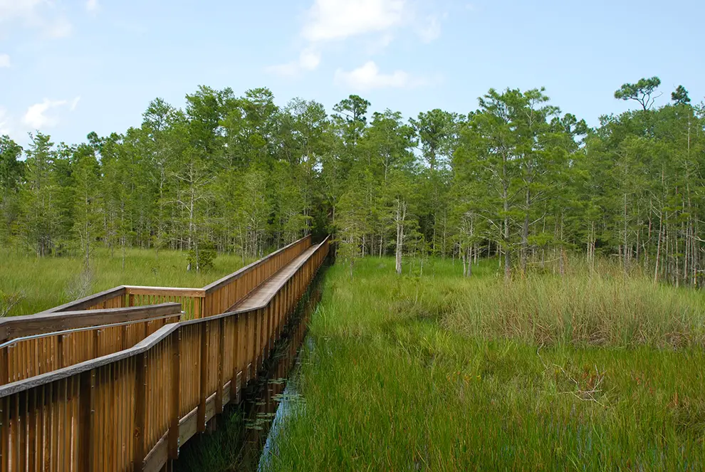 Best Parks And Trails in Palm Beach Gardens