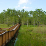 Best Parks And Trails in Palm Beach Gardens