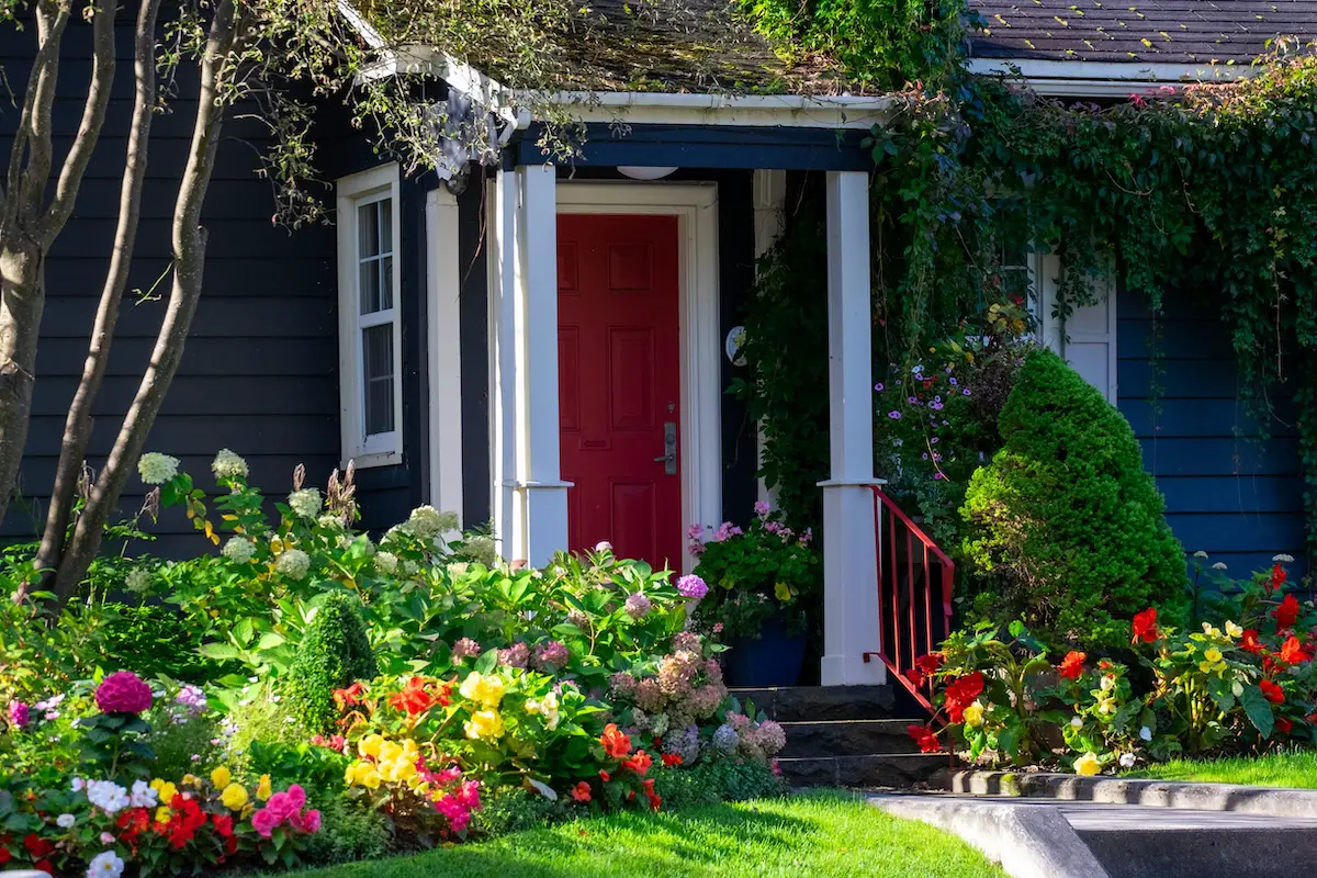 Best Plants for Front of House Florida
