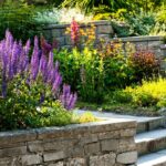 Best Plants for Front Yard in Florida
