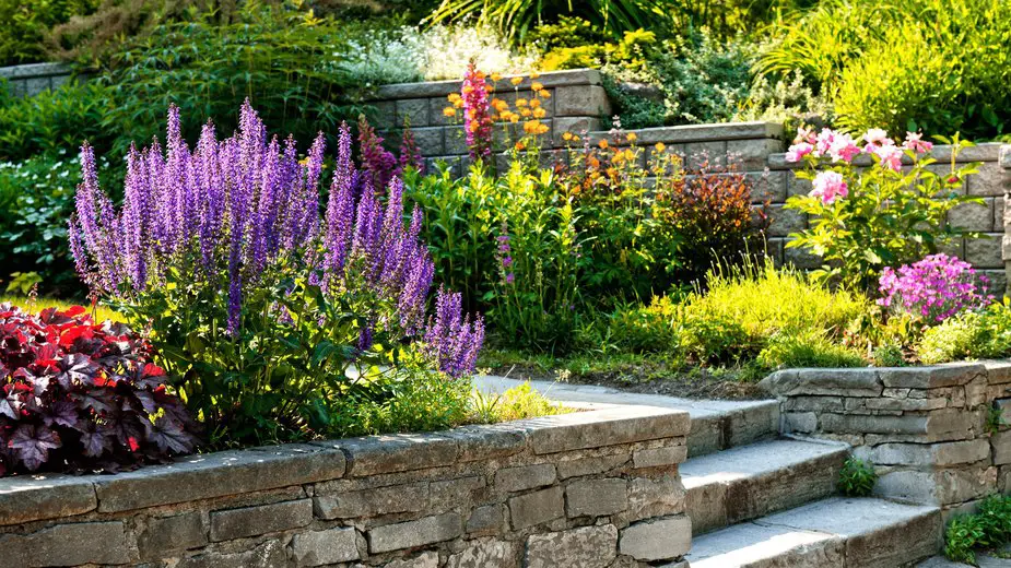 Best Plants for Front Yard in Florida
