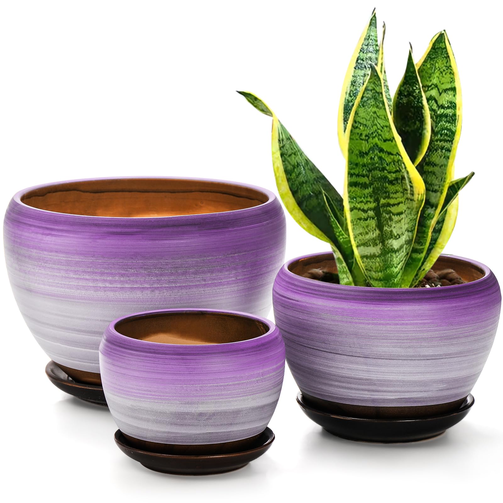 Ceramic Flower Pots