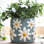 Decorative Plant Pots