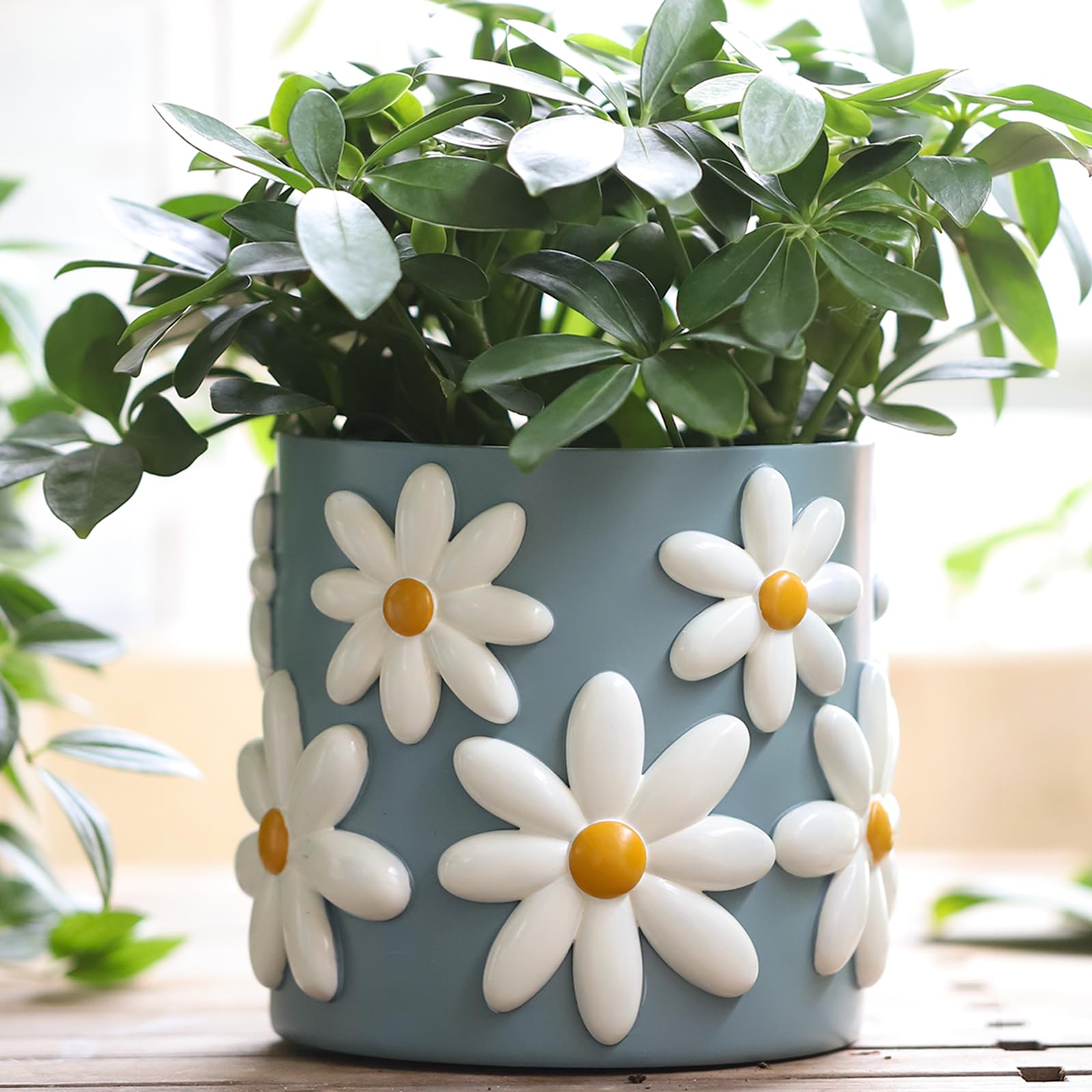 Decorative Plant Pots