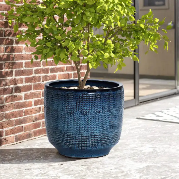 Durable Ceramic Planters