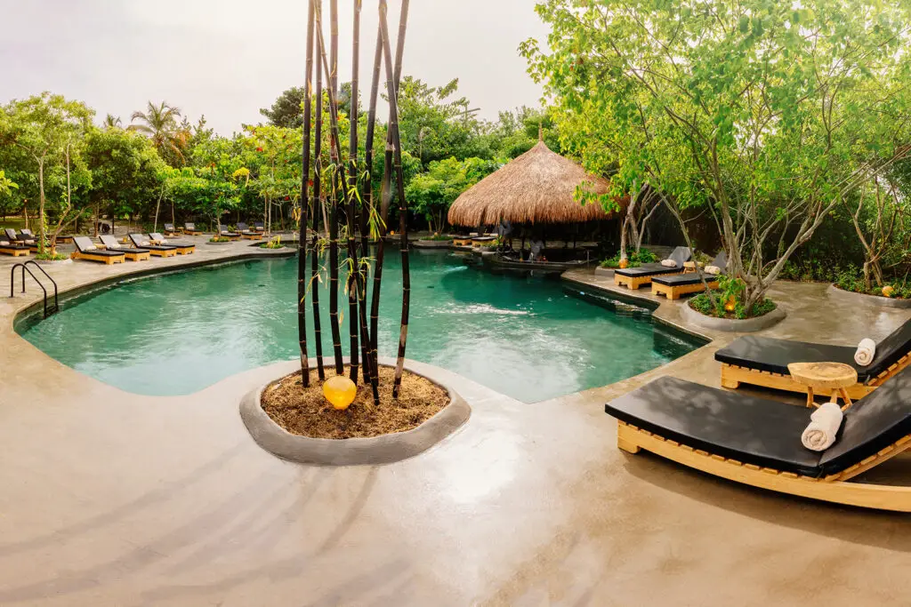 Eco-Luxury Travel Options Beach Gardens