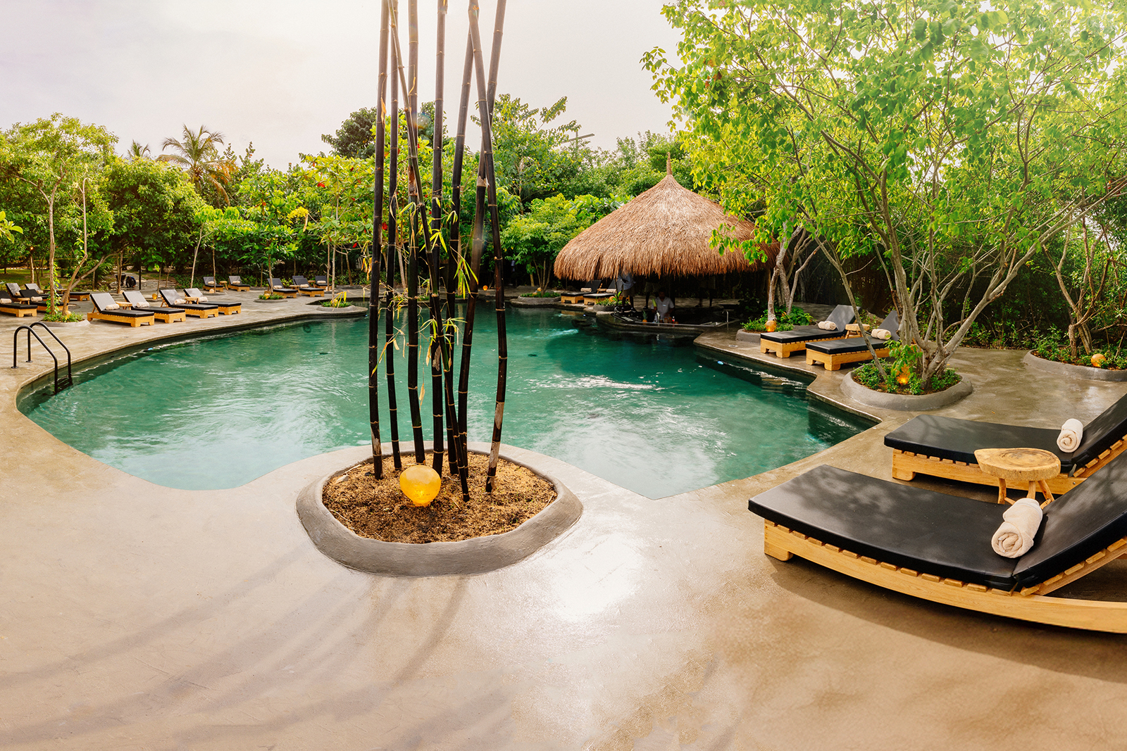 Eco-Luxury Travel Options Beach Gardens